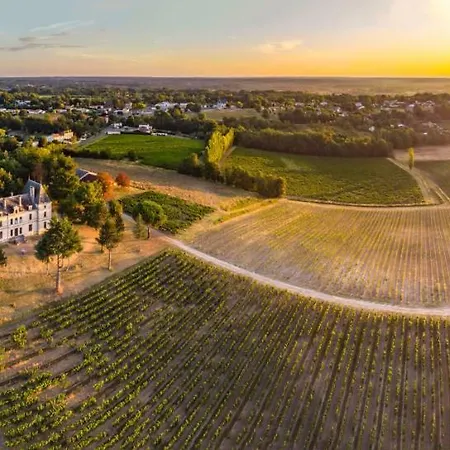 Chateau Perrin D'hoge Σπίτι διακοπών Bonzac