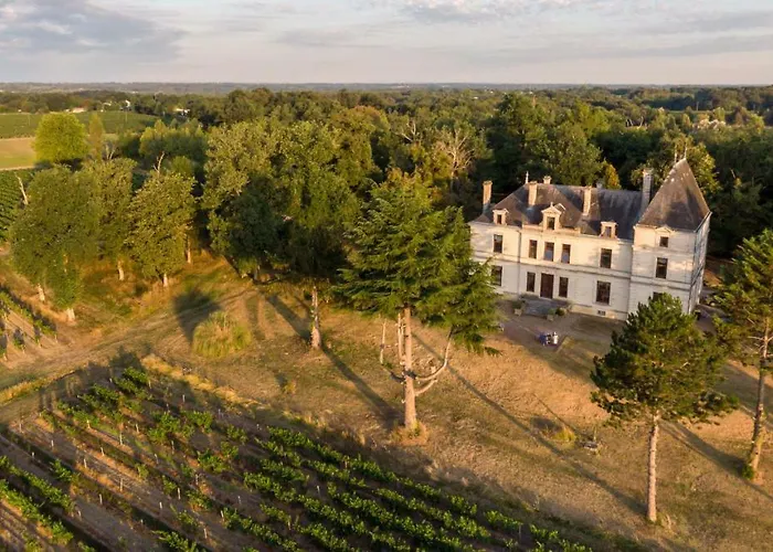 Chateau Perrin D'hoge Bonzac